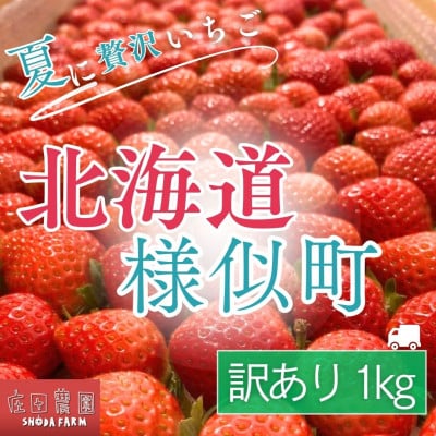 【訳あり】様似町産　すずあかね　約1kg