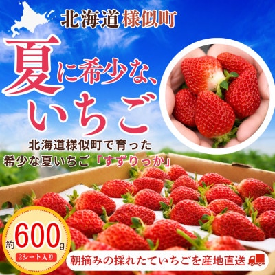 夏いちご王国　様似町産　すずりっか　約300g×2パック