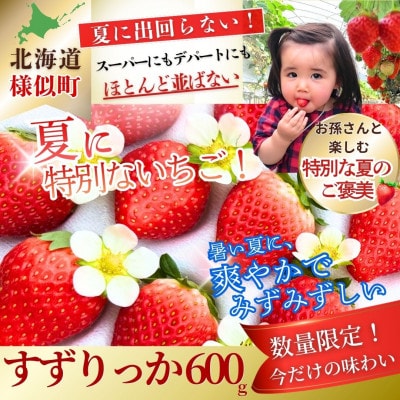 夏いちご王国　様似町産　すずりっか　約300g×2パック