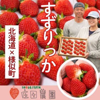 夏いちご王国　様似町産　すずりっか　約300g×2パック