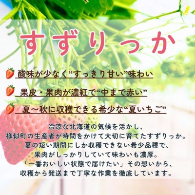 夏いちご王国　様似町産　すずりっか　約300g×2パック
