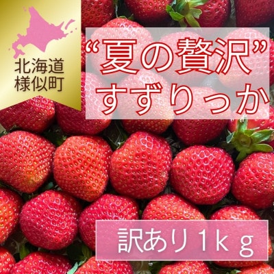 【訳あり】様似町産　すずりっか　約1kg