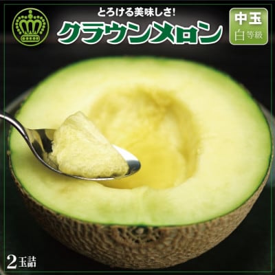 【通年出荷】クラウンメロン(白等級)中玉　2玉詰