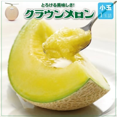 【通年出荷】クラウンメロン(小玉) 1玉