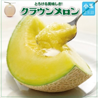 【通年出荷】クラウンメロン(小玉) 2玉詰