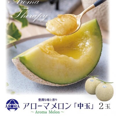 【通年出荷】アローマメロン 白等級(中玉) 2玉入