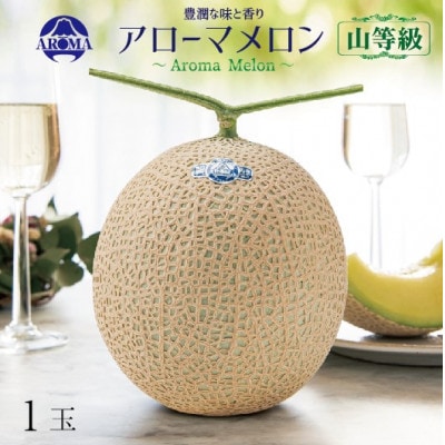 【通年出荷】アローマメロン(山等級) 1玉入【品格溢れる高級品】