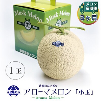 【毎月定期便】アローマメロン(小玉) 1玉 全3回