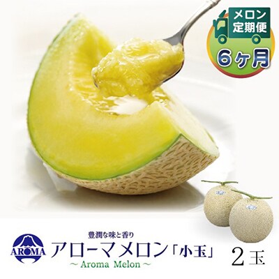 【毎月定期便】アローマメロン(小玉) 2玉 全6回