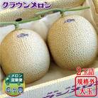 【毎月定期便】クラウンメロン 規格外大玉2玉 全6回