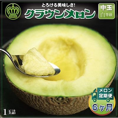 【毎月定期便】クラウンメロン(白等級) 中玉1玉 全6回