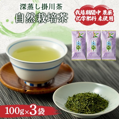 自然栽培茶(化学肥料・農薬未使用)深蒸し掛川茶100g×3袋
