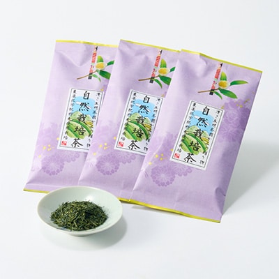 自然栽培茶(化学肥料・農薬未使用)深蒸し掛川茶100g×3袋