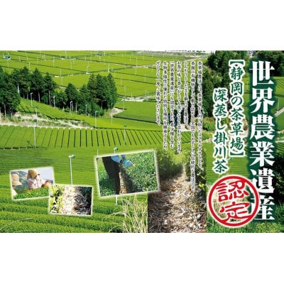 全国初の快挙!日本三大品評会 農林水産大臣賞受賞 三冠茶園 深蒸し掛川茶 200g×13袋