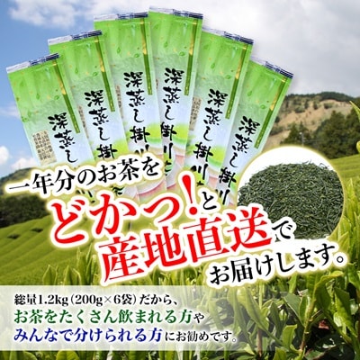 全国初の快挙!日本三大品評会 農林水産大臣賞受賞 三冠茶園 深蒸し掛川茶 200g×6袋
