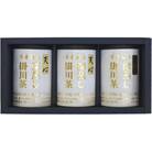 手摘み 深蒸し掛川茶 天心 100g×3缶セット 箱入包装