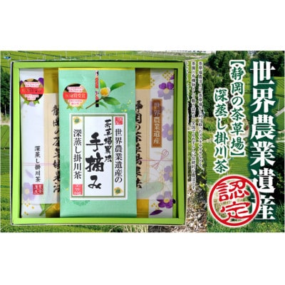 世界農業遺産 静岡の茶草場農法 深蒸し掛川茶(手摘み60g×1袋・掛川茶100g×2袋)ギフトセット