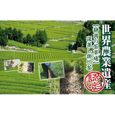 世界農業遺産 静岡の茶草場農法 深蒸し掛川茶(手摘み60g×1袋・掛川茶100g×2袋)ギフトセット