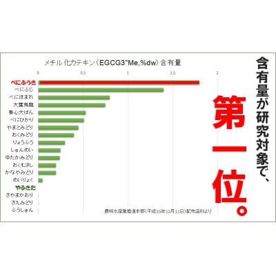 べにふうき緑茶 ティーバッグ5g・10包入り×4袋 静岡県掛川市産 深蒸し製法