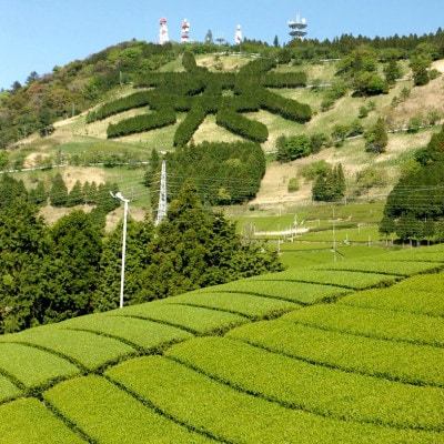 八十八夜摘み 深蒸し掛川茶 ティーバッグ2g×20個入×3袋