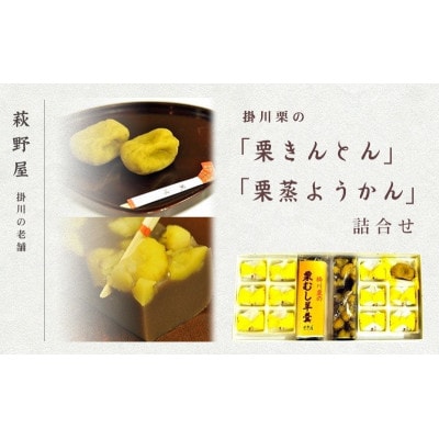 萩野屋 掛川栗の 栗きんとん×12個 栗蒸し羊羹×2本 詰め合わせ