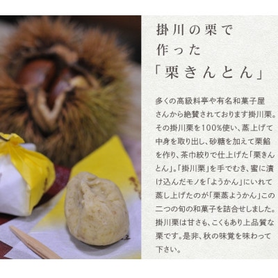 萩野屋 掛川栗の 栗きんとん×12個 栗蒸し羊羹×2本 詰め合わせ
