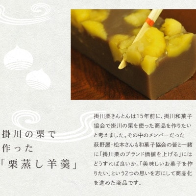 萩野屋 掛川栗の 栗きんとん×12個 栗蒸し羊羹×2本 詰め合わせ