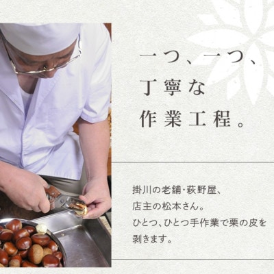 萩野屋 掛川栗の 栗きんとん×12個 栗蒸し羊羹×2本 詰め合わせ