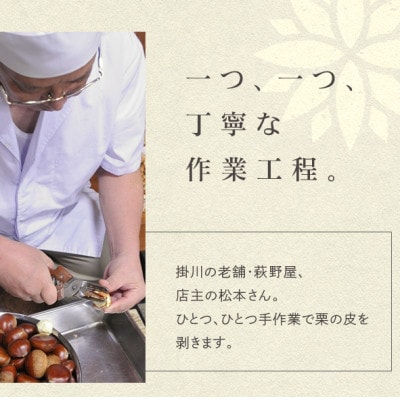萩野屋 掛川栗の 栗きんとん 6個×3箱 計18個入