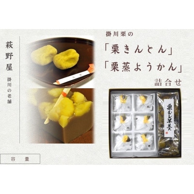 萩野屋 掛川栗の 栗きんとん×6個 栗蒸し羊羹×1本 詰め合わせ