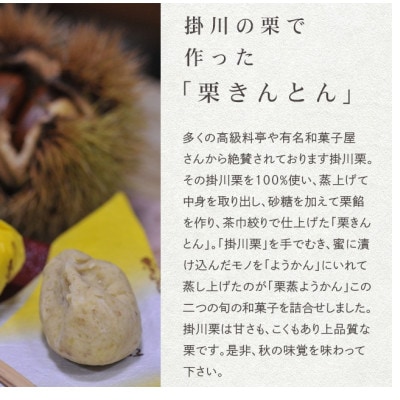 萩野屋 掛川栗の 栗きんとん×6個 栗蒸し羊羹×1本 詰め合わせ