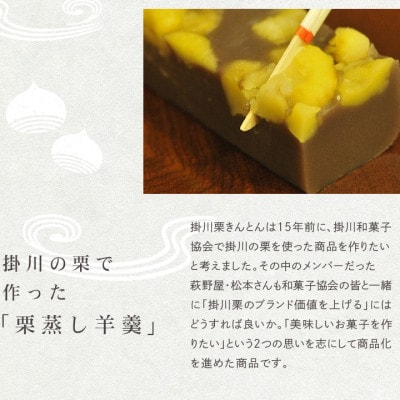 萩野屋 掛川栗の 栗きんとん×6個 栗蒸し羊羹×1本 詰め合わせ