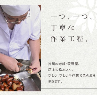 萩野屋 掛川栗の 栗きんとん×6個 栗蒸し羊羹×1本 詰め合わせ
