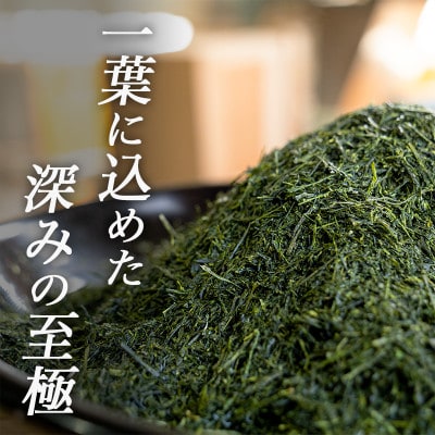 深蒸し掛川茶「かけがわ育ちW」100g×4袋セット