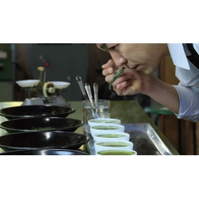 世界農業遺産認定・静岡の茶草場農法茶葉使用「あら茶・玄人作」 100g×6袋セット