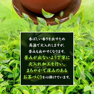 【訳あり】深蒸し掛川茶100g×10袋の合計1kg