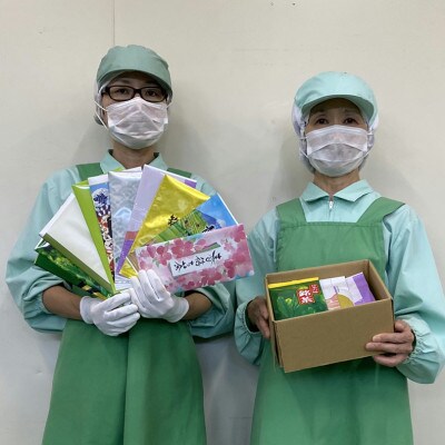 【訳あり】深蒸し掛川茶100g×10袋の合計1kg