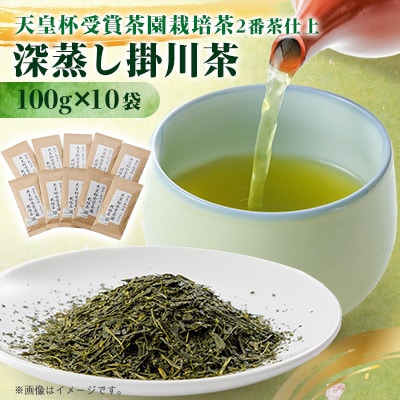 天皇杯受賞茶園栽培茶2番茶仕上　深蒸し掛川茶100g×10袋