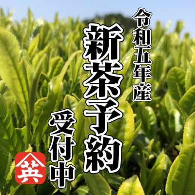 【令和5年　新茶受付】5月上旬より発送　期間限定　深蒸し掛川新茶3缶セット