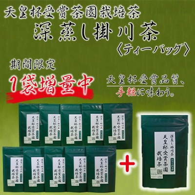 【期間限定】天皇杯受賞茶園栽培茶　深蒸し掛川茶ティーバッグ(5g×10個)×10袋+1袋　計110個
