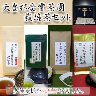 天皇杯受賞茶園栽培茶セット