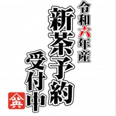 [令和6年 新茶受付]5月上旬より発送 期間限定 深蒸し掛川新茶