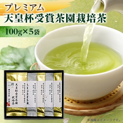 天皇杯受賞茶園栽培のプレミアム茶100g×5袋