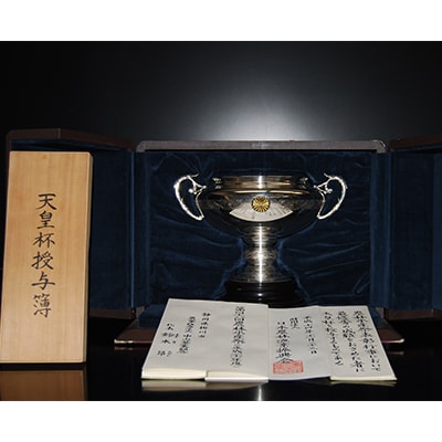 天皇杯受賞茶園栽培のプレミアム茶100g×5袋