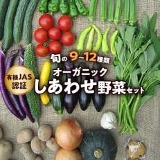 オーガニック・しあわせ野菜セット(有機JAS認証 有機野菜)