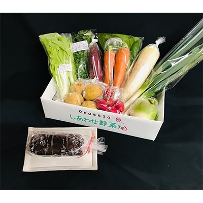 【2月発送分】オーガニック野菜とココアのマクロビケーキ