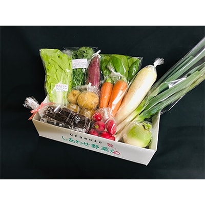 【2月発送分】オーガニック野菜とココアのマクロビケーキ