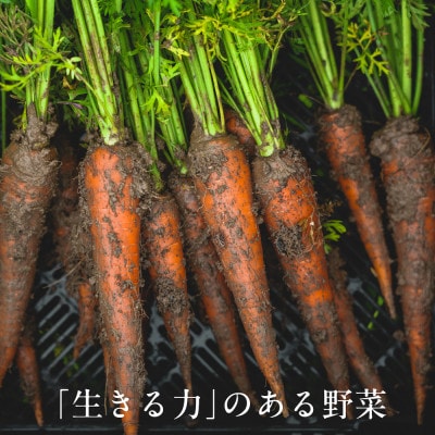 しあわせ野菜畑のシェフSセット　(訳あり規格外の有機野菜を一部使用)