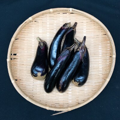 オーガニック・しあわせ野菜「シェフSセット」 (フードロス対応、規格外野菜一部使用)