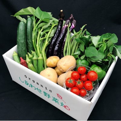 於愛の方 ふるさとの味 オーガニック野菜セット (旬の有機野菜)Mセット
